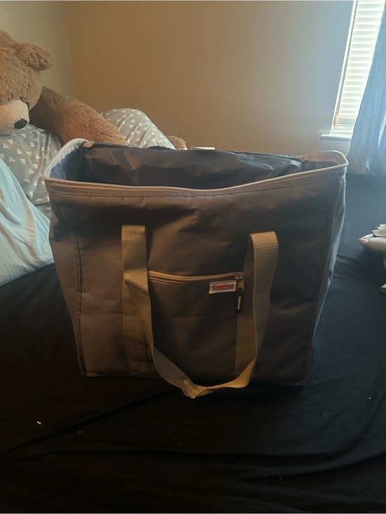 costco Other - Gray Large Insulated Storage Tote Bag